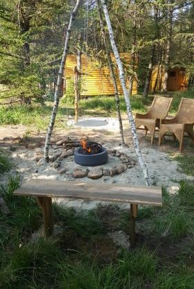 Glamping Pod im Wald