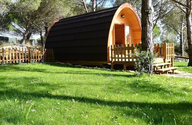 Glamping Sintra. Profitez de la tranquillité de la forêt.