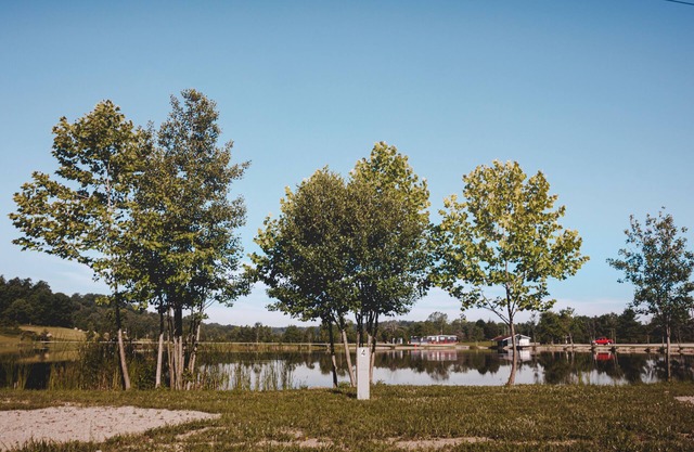 Glamplyfe in Cambridge: RV Site #3