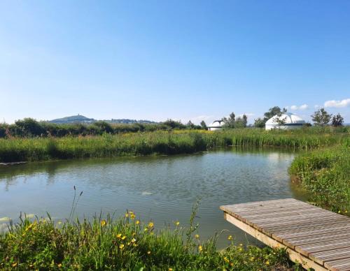 Glastonbury Wild Glamping