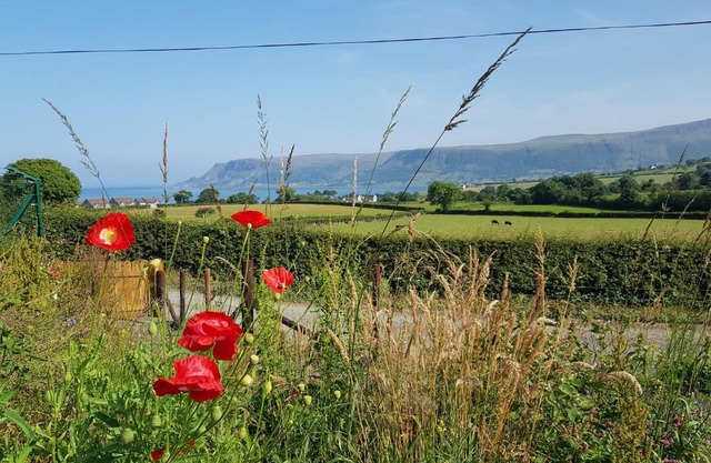 Glens glamping