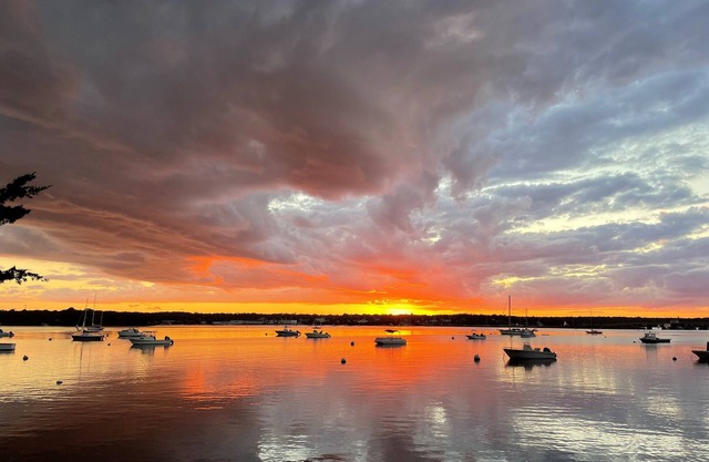 Billets de couchers de soleil paisibles au bord de l'eau sur la lagune / vignoble Sound-Boat disponibles