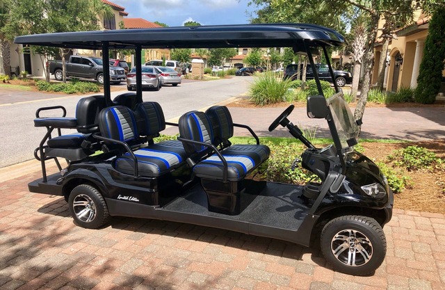 6 PANIER DE GOLF! Comm. PISCINE, plage privée, 8 personnes. SANDESTIN. Viche de mer.