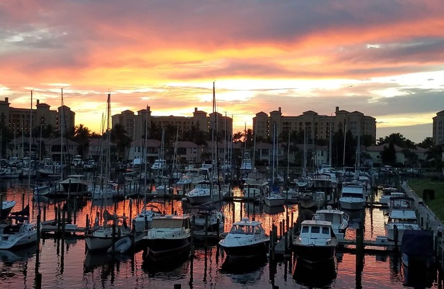 Vue magnifique sur le port et magnifiques couchers de soleil! Regardez les lamantins jouer!