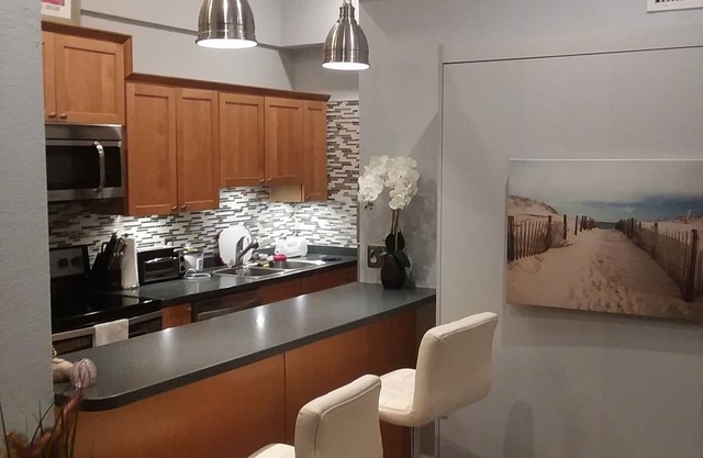 Superbe condo du centre-ville avec Tampa Bay, voilier, vues de bateau de croisière