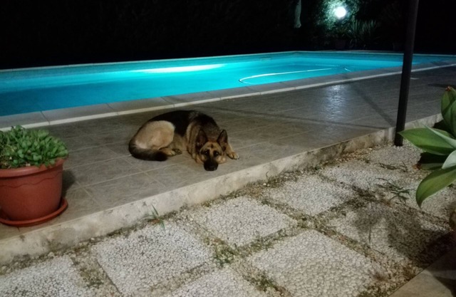 belle villa avec piscine