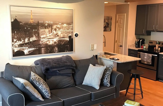 Great 1/1 condo in the heart of downtown close to all the restaurants and bars.