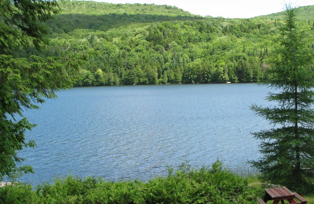 Great For Time Alone! Waterfront Cabin - Chiens bien élevés Bienvenue. Allez au bord du lac!