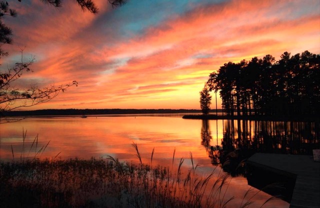 Super emplacement Lake Gaston Waterfront Cottage