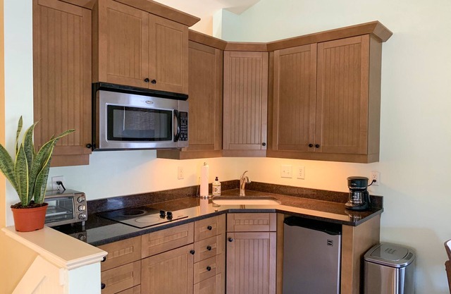 Great Studio Apartment - Walkable to Downtown!