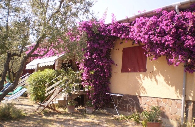 Appartement VERT immergé dans l'oliveraie