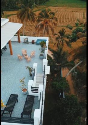 Green paddy villa