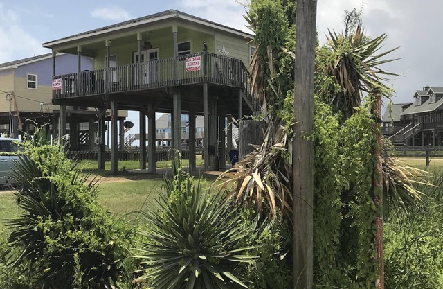 Green Sea Star passe à la plage Sep Blow OFF Vente - 95 $ /nt (M-F) -3BR /2BA