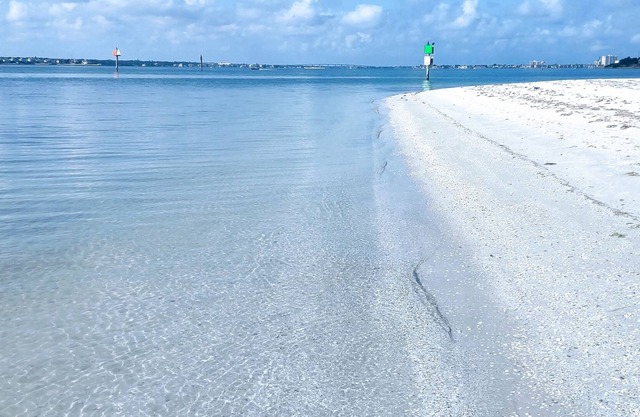 Green Turtle WEST