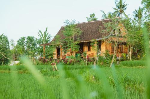 Green vanilla kabin