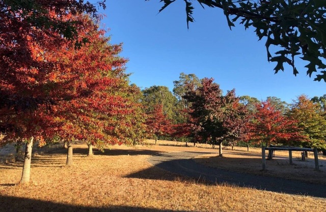 Greenacres - Relaxing Escape in the Macedon Ranges