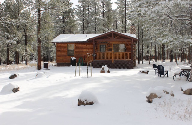Greer Pines Cabin Secluded Cabin on an Acre