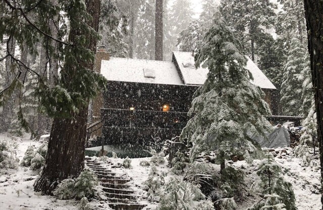 Grizzly Bear Lodge près de Sugarpine Creek