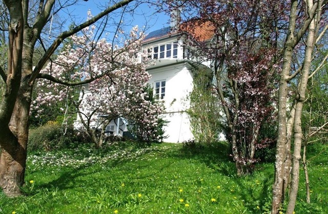 Appartement au rez-de-chaussée dans une belle villa ancienne