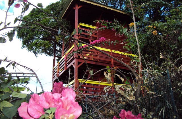 Guadeloupe-Paradisio, Pitaya