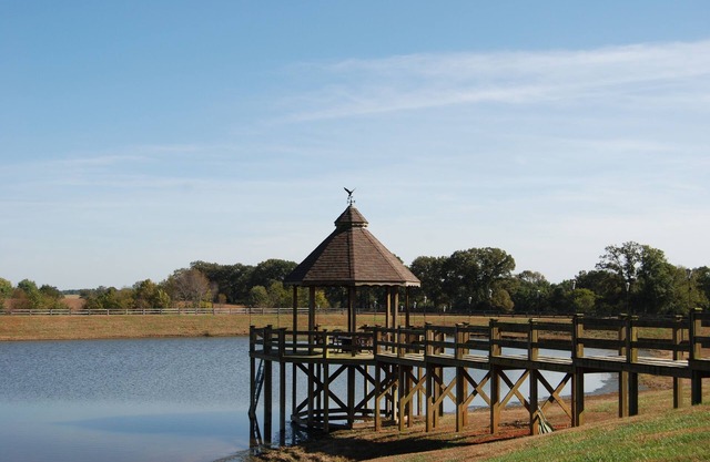 accueil des clients sur 100 acres ranch dans le pays, mais minutes de Nashville, TN