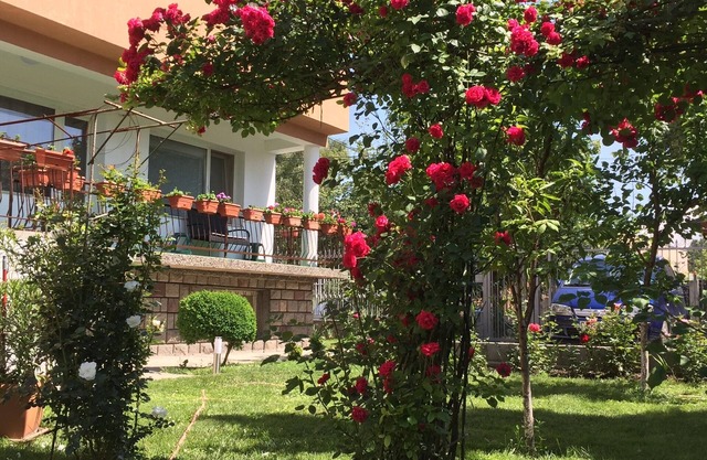 Maison d'hôtes "Aleksandra"