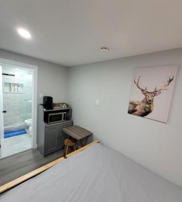 Guest House Basement - Master Bedrooms in Bayview Village