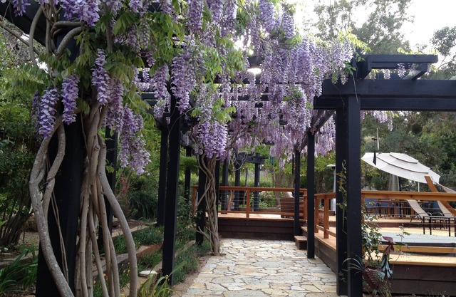 Maison d'hôtes à Sunny Carmel Valley.