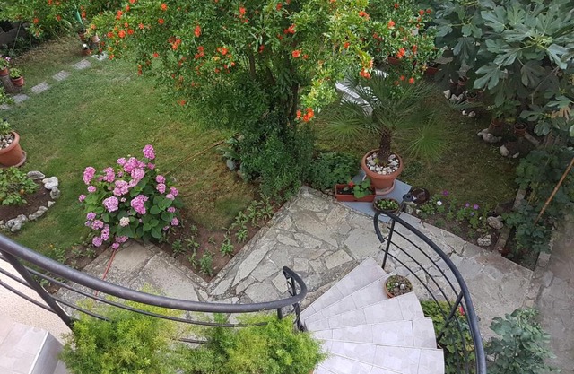 Guest House Veselina