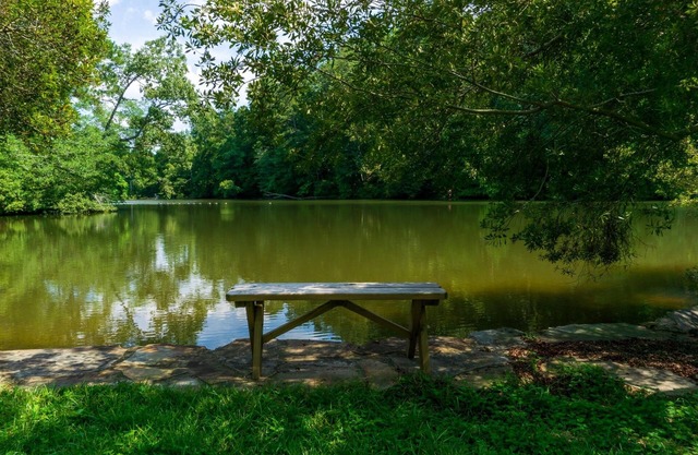 LAKEFRONT-'BED & BAMA '- OCCASIONS SPÉCIALES, Girls Night Out, MANIFESTATIONS SPORTIVES !!!
