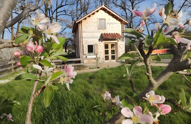 Chambre d'hôte 'Au Chant Des Oiseaux - Rouge Gorge -' à Varen, Pizza au feu de bois et Wi-Fi
