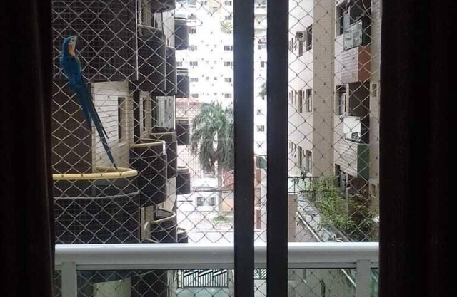 Praia Grande, Appartements à louer à Guilhermina