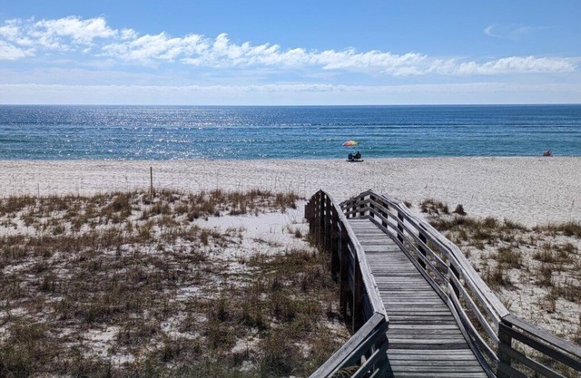 Gulf Side Villas 1B Pet Friendly Gulf Front condo-Free Daily Activities