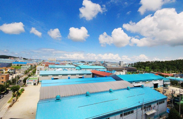 Gunsan Haru