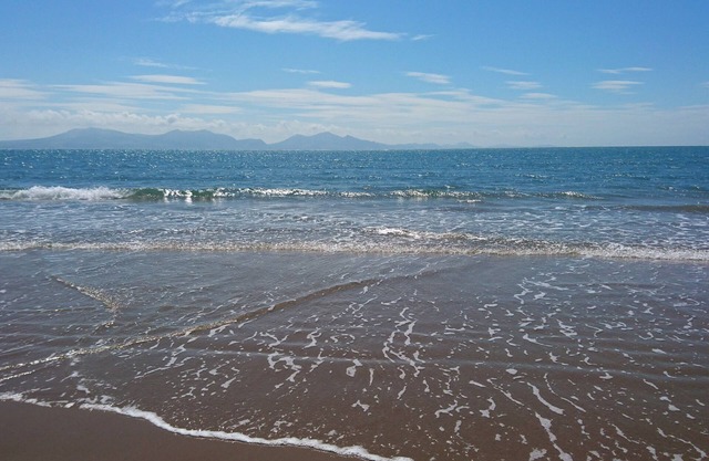 GWEL Y RHOS, Animaux domestiques, avec feu ouvert à Newborough, Réf 1013607
