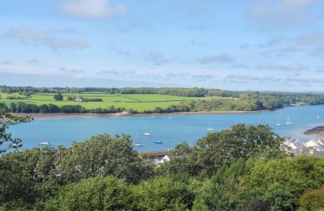 GWYLAN UCHAF, animaux domestiques, avec bain à remous en Y Felinheli, Ref 1008856