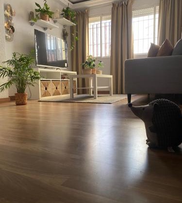 habitacion acogedora con limpieza incluida- buena conexion