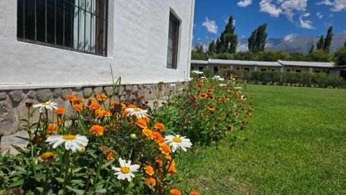 Habitaciones El Ángel
