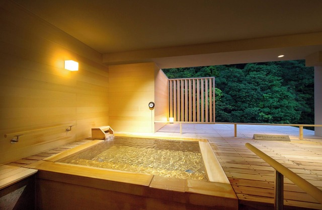 Hakone Pax Yoshino