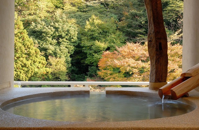 Hakone Suimeisou