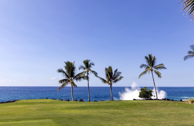 Hale Aloha #34