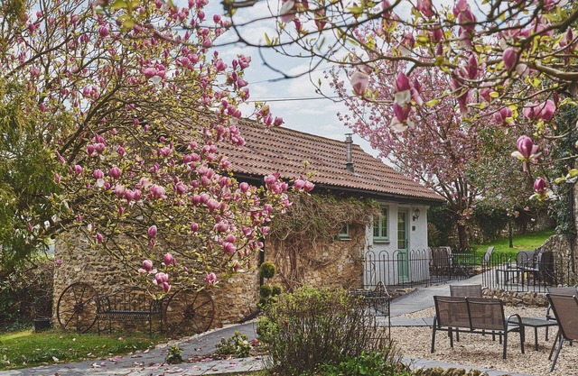 Half Moon Cottage - Luxury Cottages
