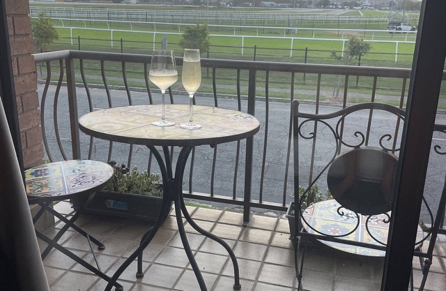 Hamilton South - Views of the Race Track - Pet Friendly - 2km to Bar Beach