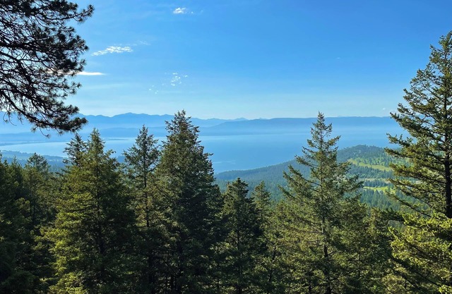 Cabine artisanale avec vue sur le lac!