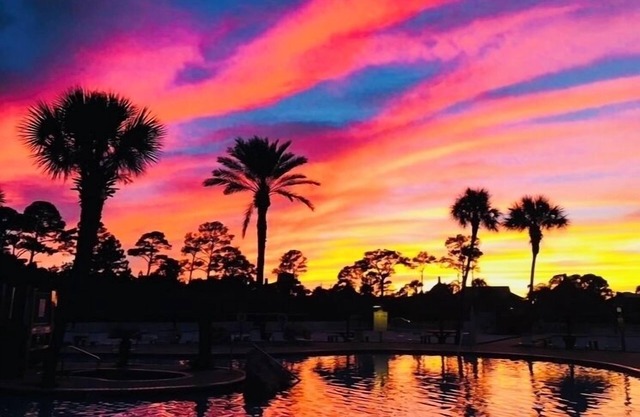 HangLoose14ad Purple Parrot Resort, Perdido Key FL (réservation pour août)