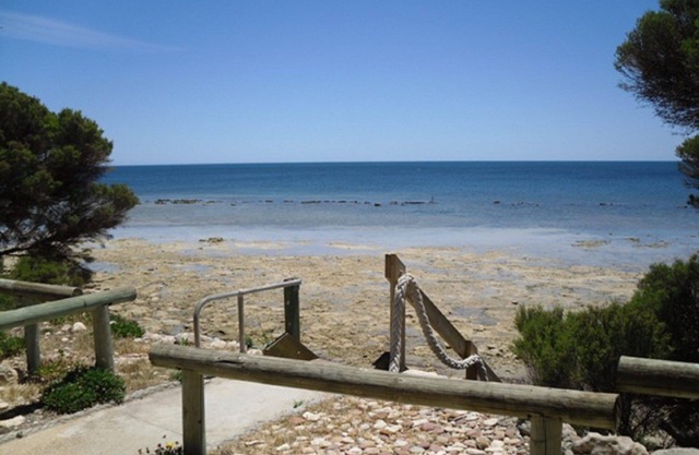 Harry's - Absolute Beachfront