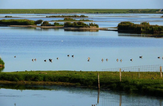 Haus-Halligblick-Ferienwohnung-Hamburger-Hallig