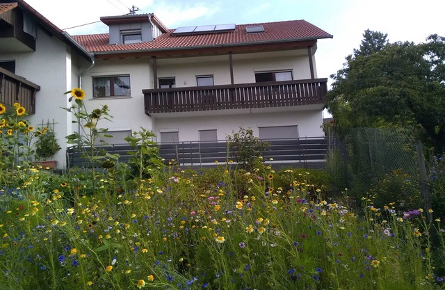 Haus Hinz - 3-zimmer-ferienwohnung Hinz, Dusche/wc, 70 qm, EG