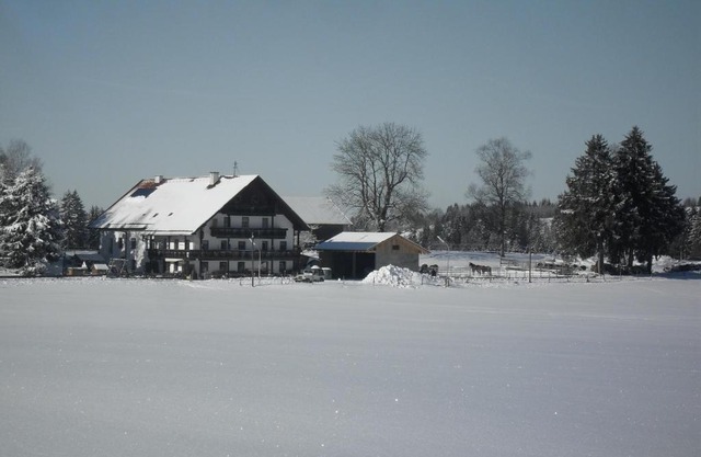 Hauserwirt