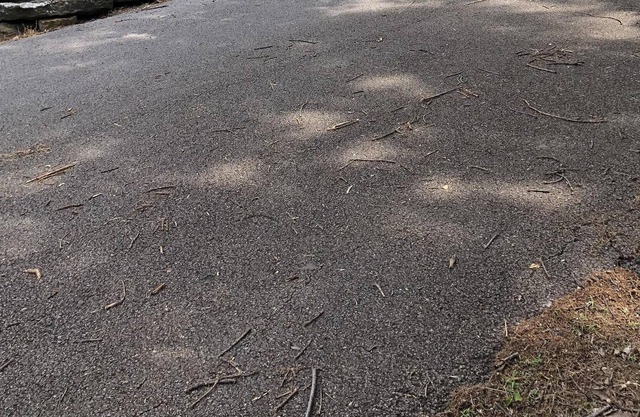 Passez un séjour dans cette cabane confortable près de State Park et Blackgum Lansing!
